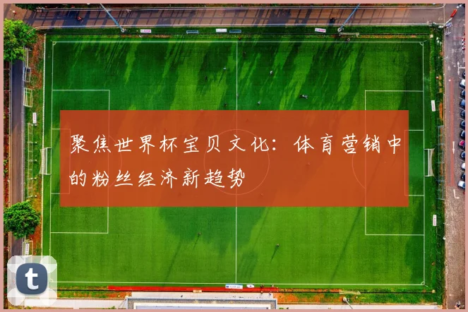 聚焦世界杯宝贝文化：体育营销中的粉丝经济新趋势