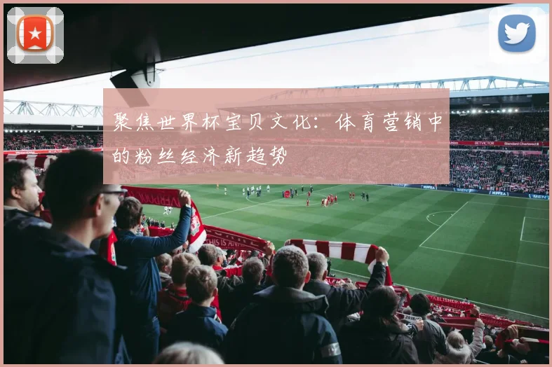 聚焦世界杯宝贝文化：体育营销中的粉丝经济新趋势