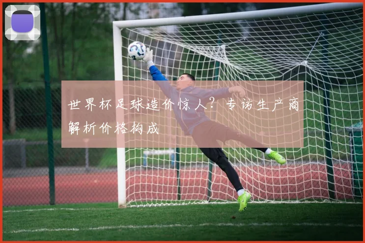 世界杯足球造价惊人?专访生产商解析价格构成