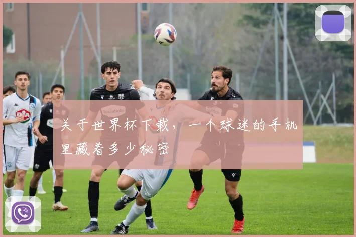 关于世界杯下载，一个球迷的手机里藏着多少秘密