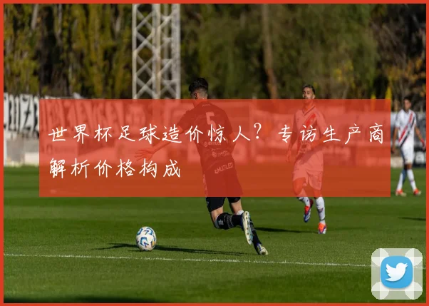 世界杯足球造价惊人?专访生产商解析价格构成