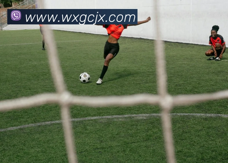 亚搏app注册官网平台生态图